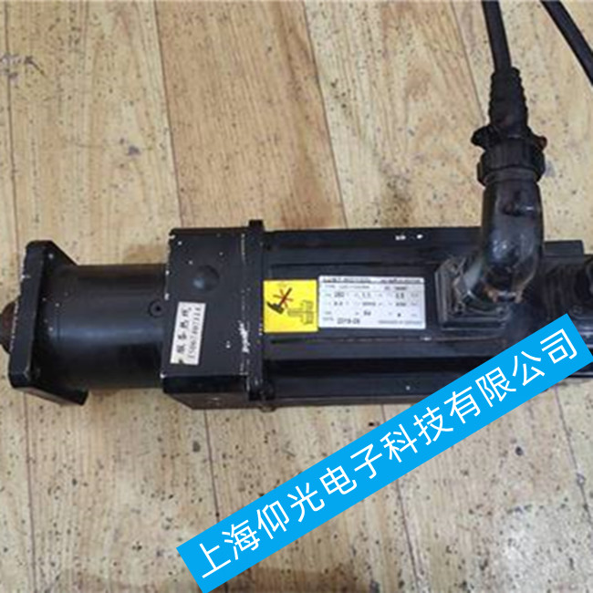 廣東深圳路斯特LSC-080-5-30-560/1RJ伺服電機維修