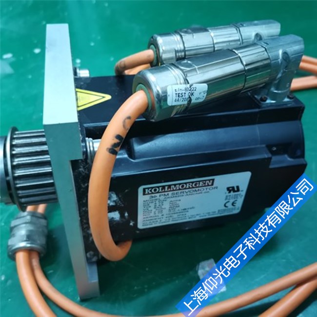 科爾摩根伺服電機(jī)軸承故障產(chǎn)生原因及處理